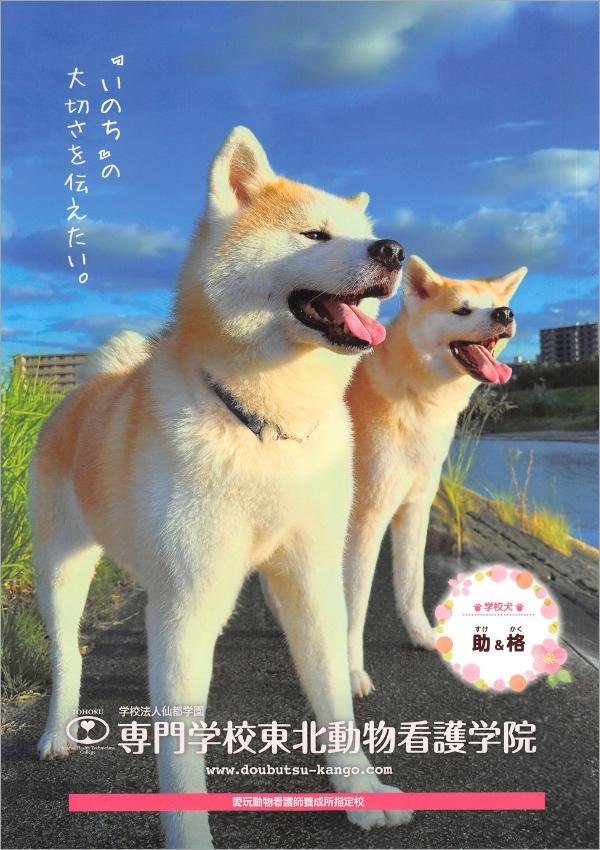 専門学校東北動物看護学院のパンフレット2025年版：2025年4月入学生対象）の紹介と資料請求案内