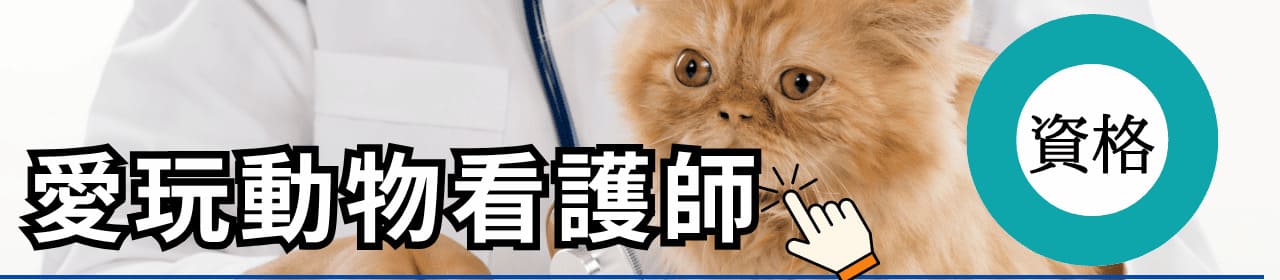 愛玩動物看護師の資格と学校